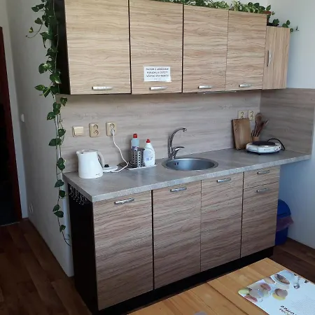 ゲストハウス Koupaliste Litoměřice