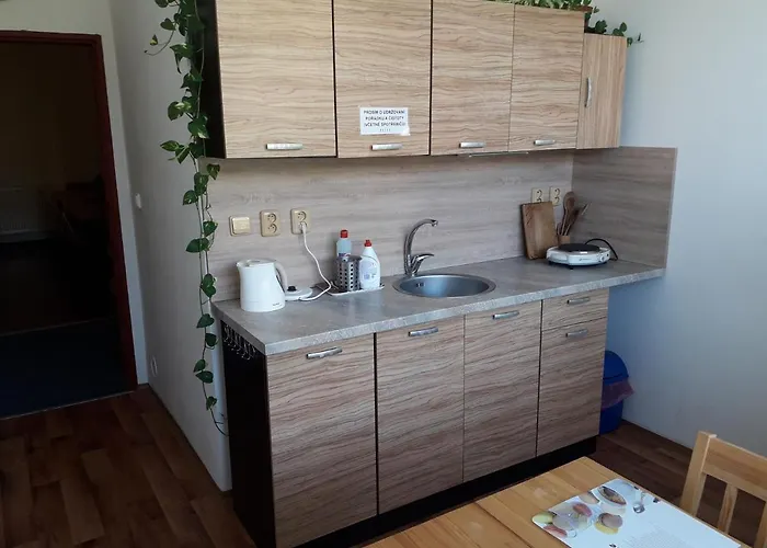 게스트하우스 Koupaliste Litoměřice