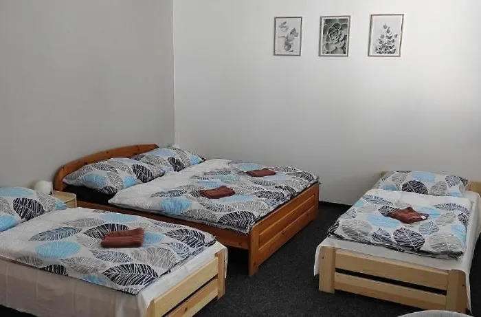 게스트하우스 Koupaliste 3*